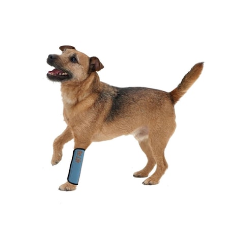 Petpurifiers Extreme-Neoprene Joint Protective Reflective Pet Sleeves- Blue - Large PE3184445